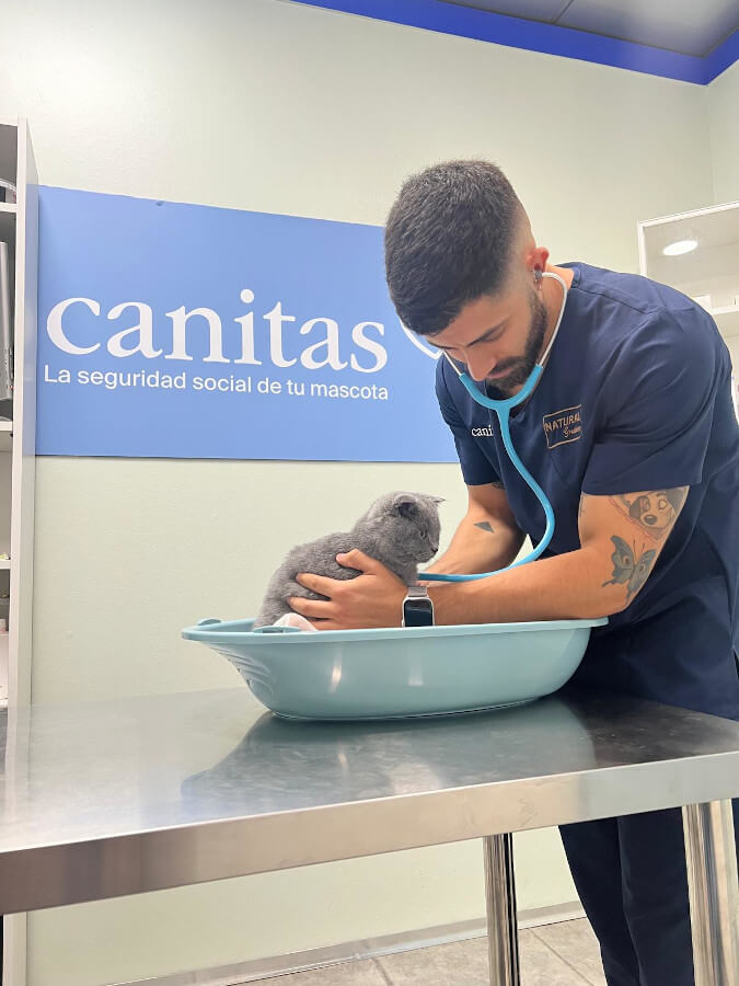 Veterinario Canitas