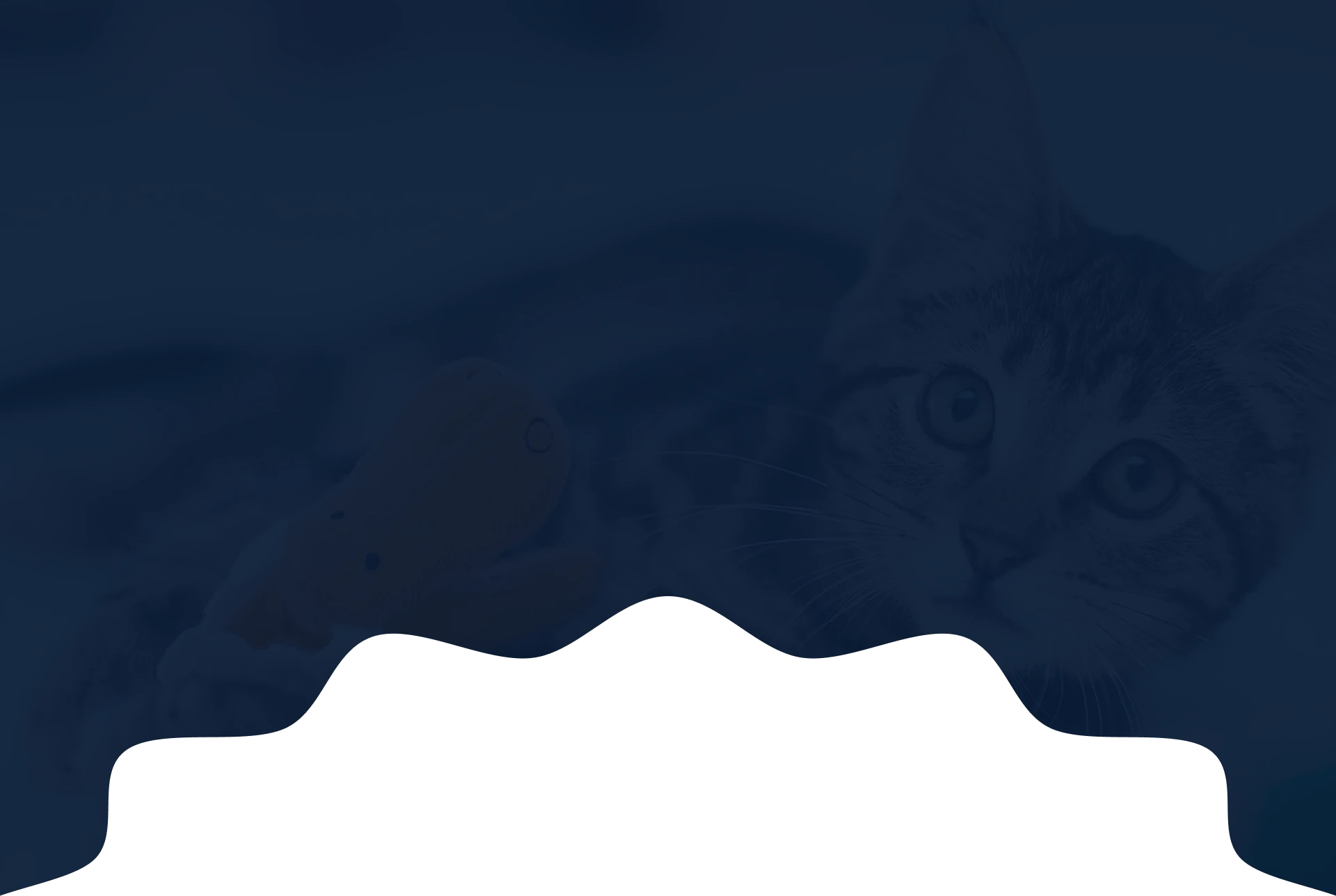 Canitas Veterinaria Valencia - CC Gran Turia, mascotas y veterinaria en Xirivella