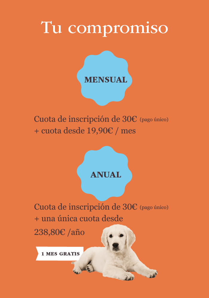 ok Cuota_de_inscripcion_de_30E__cuota_desde_1990E__mes