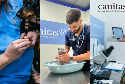 canitas_triptico canitas_triptico