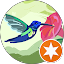 COLIBRÍ Avatar