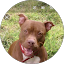 trini hijano Avatar